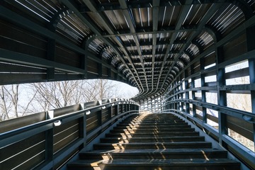 _DSC1062