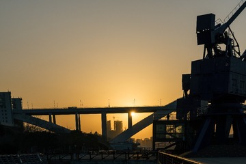 _DSC1100