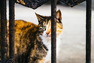 _DSC2594