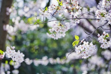 无锡_DSC0354-01
