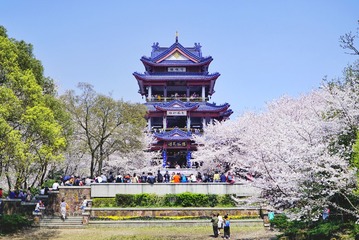 无锡_DSC0238-01
