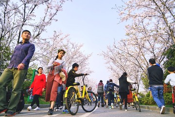 无锡ORG__DSC2714-01