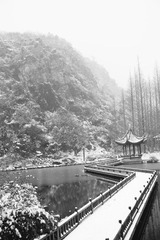 _DSC7787.JPG