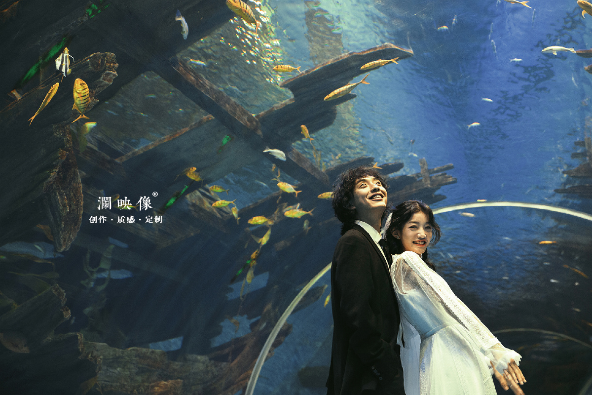 澜之婚纱海洋馆的约会预告