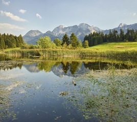 B0013269