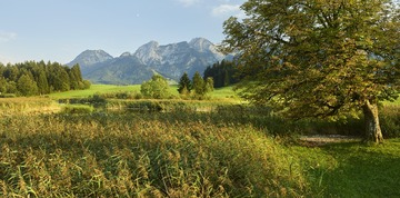 B0013281