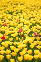 IMG_1562.JPG