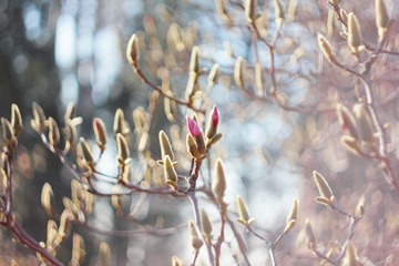 IMG_1211.JPG