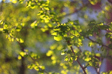 IMG_1532.JPG