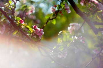 IMG_1573.JPG