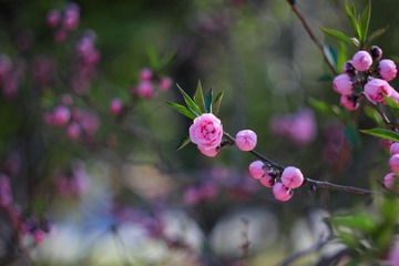 IMG_1589.JPG
