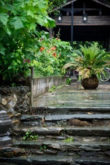DSC02128.jpg