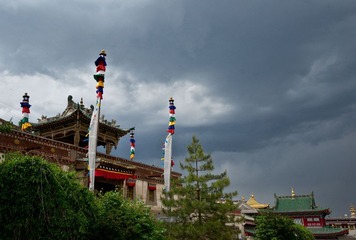 DSC02330.jpg