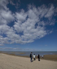 DSC02710.jpg
