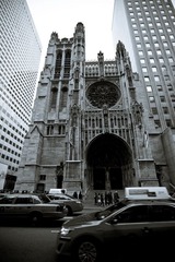 DSC02795.jpg