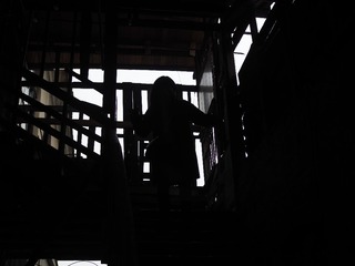 P3120039
