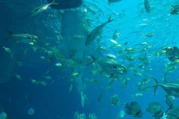 P1010508