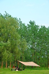 76001