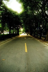 IMGP7640.jpg