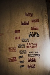 IMGP8184.JPG