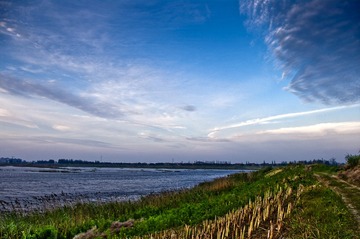 IMGP5472_
