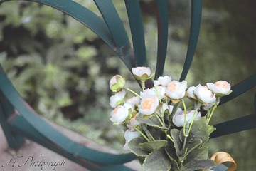 IMG_20150518_201422