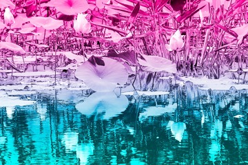 _DSF2843 as Smart Object-1