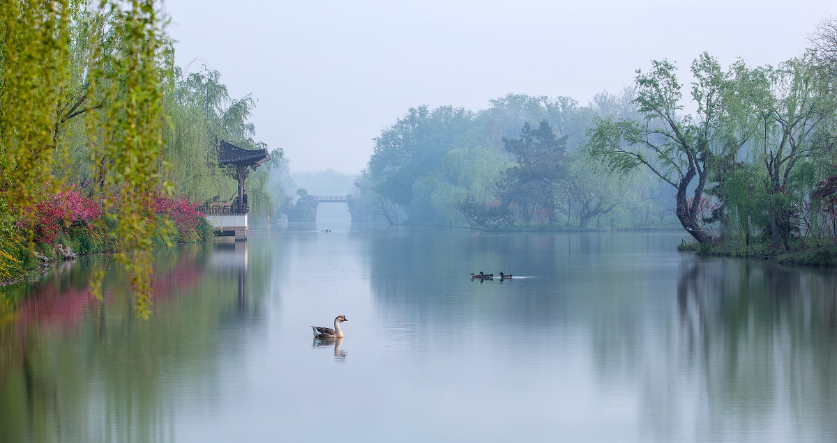 春未老风清云淡雾蒙蒙