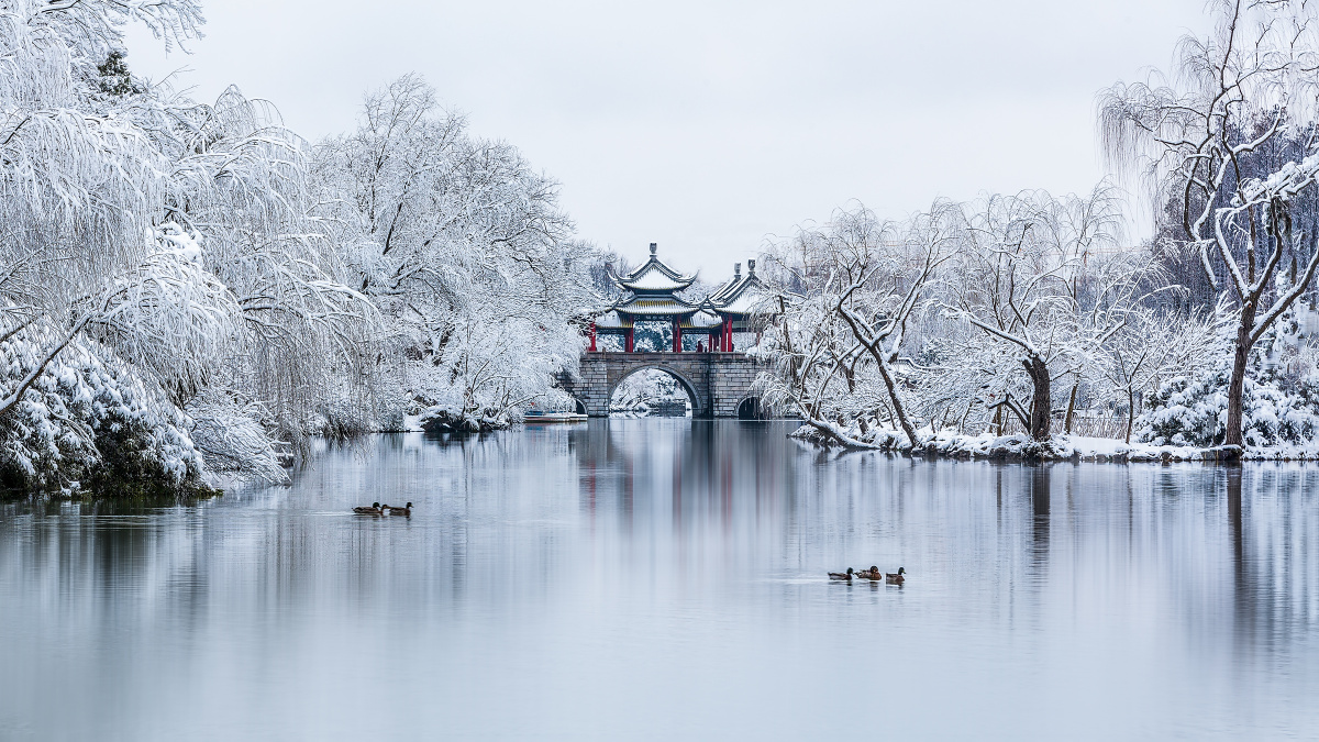 雪中瘦西湖 - 桧雪 - 图虫