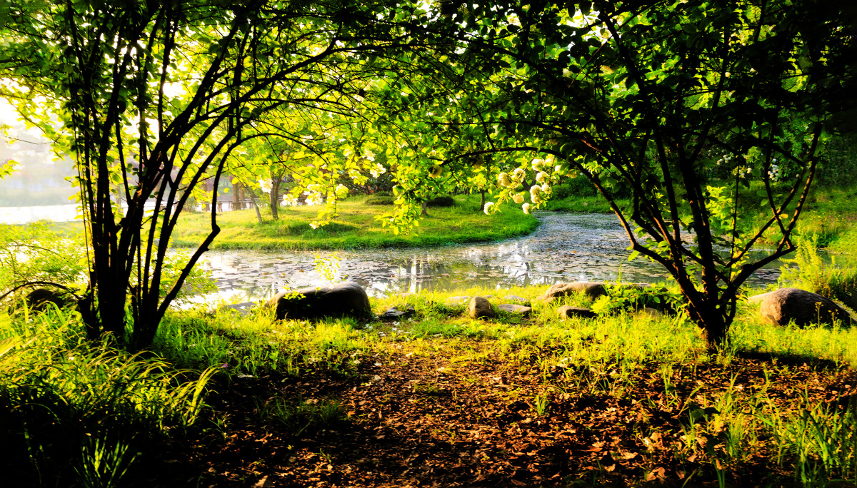 清晨,小河边 - 桧雪 - 图虫