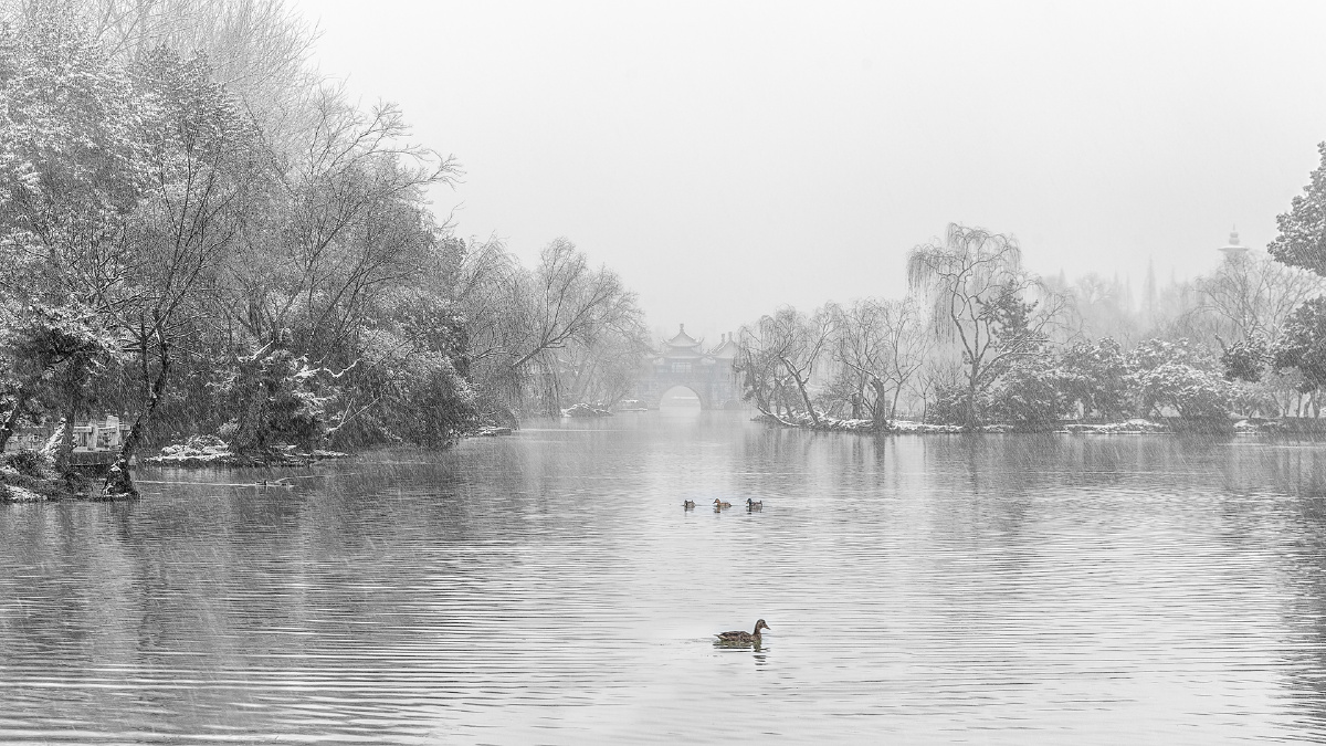 雪中瘦西湖 - 桧雪 - 图虫网 - 优质摄影师交流社区