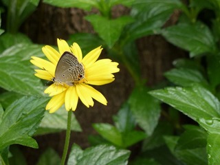 P1000700.JPG