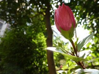 P1010233.JPG
