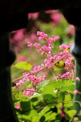 IMG_1080副本.jpg