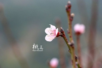 IMG_2609副本.jpg