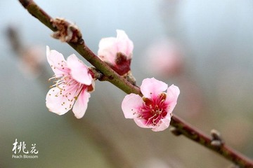 IMG_2690副本.jpg