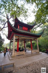 _DSC1454