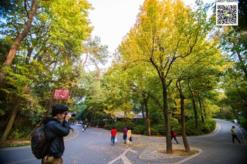 _DSC1396-编辑
