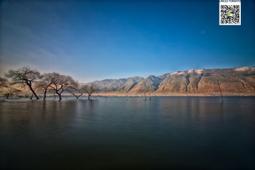 _DSC2589-编辑