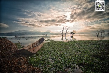 _DSC2612-编辑
