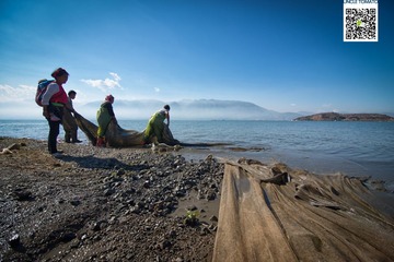_DSC2752-编辑