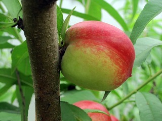 89a