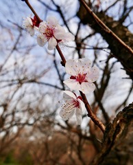F6120DC5-B83C-467C-97D8-32B65E329B06/L0/001