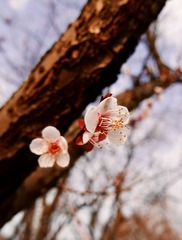 58F7B630-79F1-4299-9DF6-B7197D3C78EE/L0/001