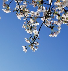 948BB0F9-C0D2-4FA3-A949-7A270CC68BF4/L0/001