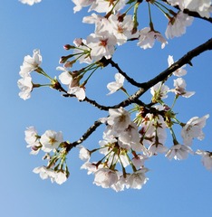 0F288FA1-428E-4444-90D0-356131A00E21/L0/001