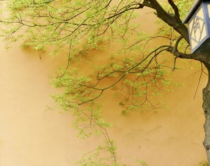 F76D4F9C-2C03-41E3-A36F-8B08B601C7E2/L0/001