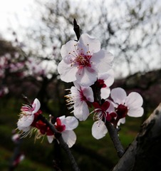 66F5C360-F571-4259-AA62-646F49B759D1/L0/001