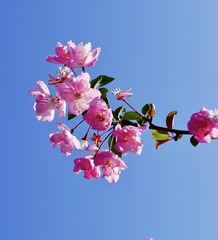 D16A7902-5F7A-479C-AB9F-F530B63F4C4C/L0/001