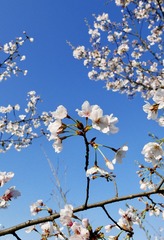 776F80FB-2A59-4000-A13F-5C5AF1BA0919/L0/001